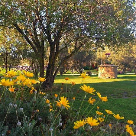 Agriturismo Li Scopi San Teodoro (Sardinia)