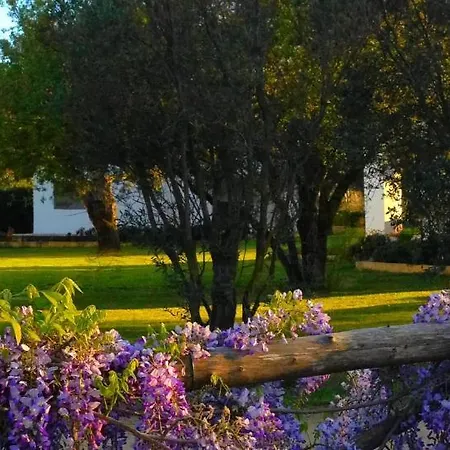 Agriturismo Li Scopi San Teodoro (Sardinia)