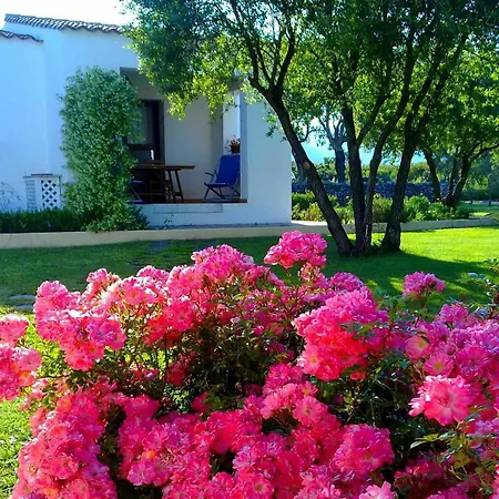 Agriturismo Li Scopi Landhaus *