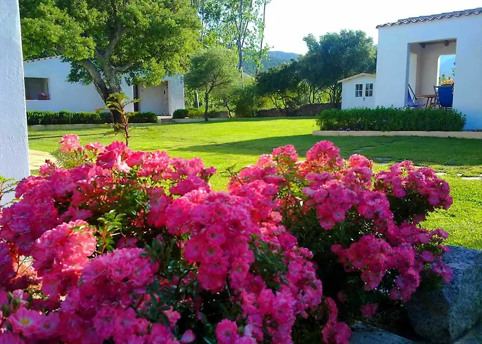 Agriturismo Li Scopi Landhaus San Teodoro (Sardinia)